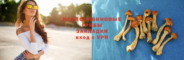 ALPHA-PVP Алексин