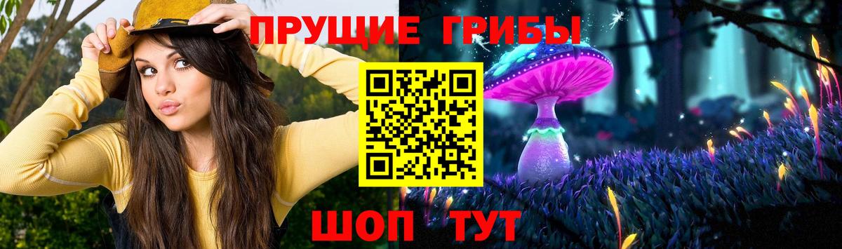 Галлюциногенные грибы Psilocybine cubensis Саров