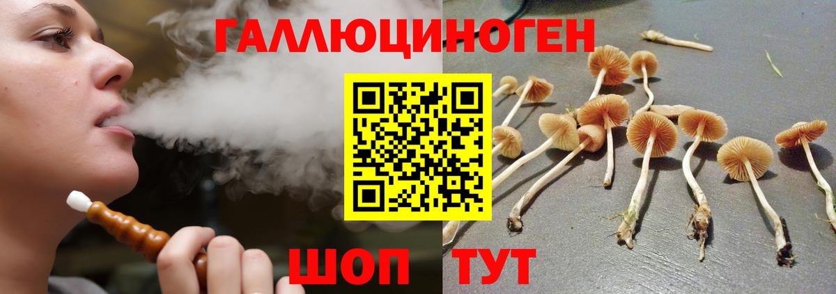 Псилоцибиновые грибы ЛСД  Вход с VPN  Саров  Псилоцибиновые грибы Cubensis 